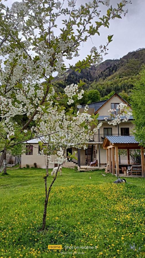 House B&B Mestia Exteriér fotografie